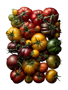 Top-Down Tomato Arrangement Vinyl Car Decal Sticker – Waterproof & UV-Resistant 8.213333333333333"