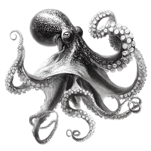 Swimming Octopus V2 Vinyl Car Decal Sticker – Waterproof & UV-Resistant 3.4133333333333336"