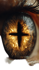 Cross-Pupil Golden Eye Vinyl Car Decal Sticker – Waterproof & UV-Resistant 9.706666666666667"
