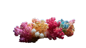 Colorful Coral Colony Vinyl Car Decal Sticker – Waterproof & UV-Resistant 2.72"