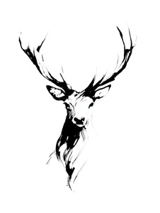 Minimalist Deer Head Vinyl Car Decal Sticker – Waterproof & UV-Resistant 8.213333333333333"
