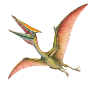 Diving Quetzalcoatlus Drawing Vinyl Car Decal Sticker – Waterproof & UV-Resistant 3.4133333333333336"