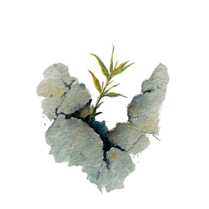 Sprouting Plant V2 Vinyl Car Decal Sticker – Waterproof & UV-Resistant 3.4133333333333336"