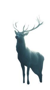 Lightning Antler Stag Vinyl Car Decal Sticker – Waterproof & UV-Resistant 4.8533333333333335"