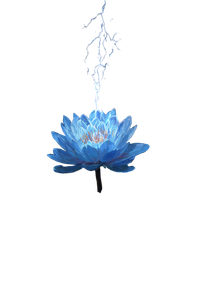 Lightning Lotus Vinyl Car Decal Sticker – Waterproof & UV-Resistant 4.4