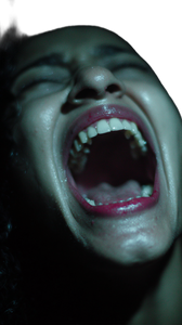 Demon-Possessed Woman V2 Vinyl Car Decal Sticker – Waterproof & UV-Resistant 4.8533333333333335"