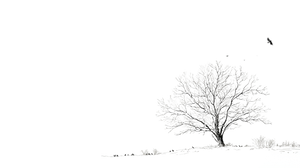 Winter Oak Crow Vinyl Car Decal Sticker – Waterproof & UV-Resistant 2.72"