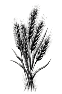 Wheat Bundle Engraving Vinyl Car Decal Sticker – Waterproof & UV-Resistant 8.96"
