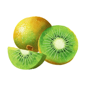Kiwi Fruit Illustration V2 Vinyl Car Decal Sticker – Waterproof & UV-Resistant 3.4133333333333336"