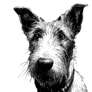 Dog V311 Vinyl Car Decal Sticker – Waterproof & UV-Resistant 3.4133333333333336"