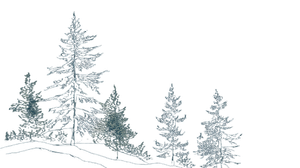 Alpine Trees Drawing Vinyl Car Decal Sticker – Waterproof & UV-Resistant 5.4