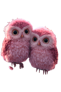Pink Owls Vinyl Car Decal Sticker – Waterproof & UV-Resistant 8.96"