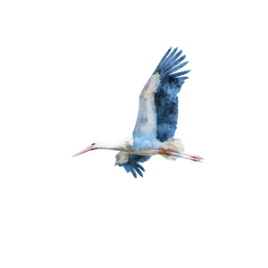 Graceful Flying Stork Vinyl Car Decal Sticker – Waterproof & UV-Resistant 3.4133333333333336"