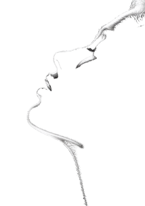 Silhouette Profile Art Vinyl Car Decal Sticker – Waterproof & UV-Resistant 4.32"