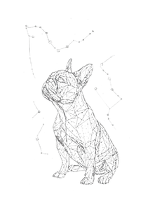 French Bulldog Constellation Vinyl Car Decal Sticker – Waterproof & UV-Resistant 8.6
