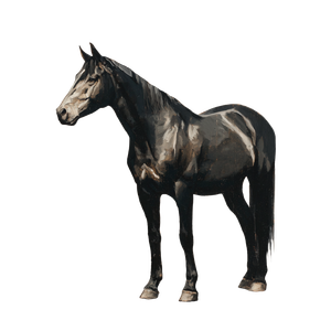 Shadow Horse Cowboy Vinyl Car Decal Sticker – Waterproof & UV-Resistant 6.826666666666667"