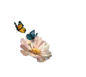 Butterflies And Flowers V10 Vinyl Car Decal Sticker – Waterproof & UV-Resistant 6.826666666666667"