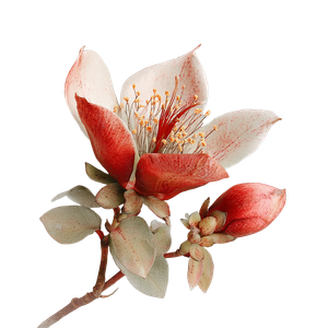 Exotic Grunge Flower Vinyl Car Decal Sticker – Waterproof & UV-Resistant 6.826666666666667"