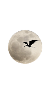 Dragon Moon Silhouette V2 Vinyl Car Decal Sticker – Waterproof & UV-Resistant 9.706666666666667"