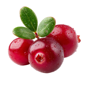 Lingonberry Close-Up Vinyl Car Decal Sticker – Waterproof & UV-Resistant 6.826666666666667"
