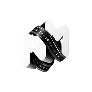 Stylistic Nm Logo Vinyl Car Decal Sticker – Waterproof & UV-Resistant 3.4133333333333336"