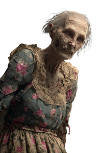 Elderly Zombie Woman Vinyl Car Decal Sticker – Waterproof & UV-Resistant 4.4