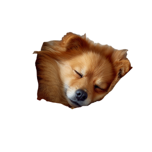 Sleeping Fluffy Dog V2 Vinyl Car Decal Sticker – Waterproof & UV-Resistant 3.4133333333333336"