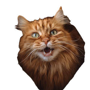 Ginger Cat Meowing Vinyl Car Decal Sticker – Waterproof & UV-Resistant 6.826666666666667"