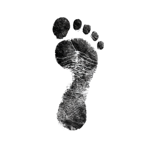 Black Footprint Vinyl Car Decal Sticker – Waterproof & UV-Resistant 6.826666666666667"