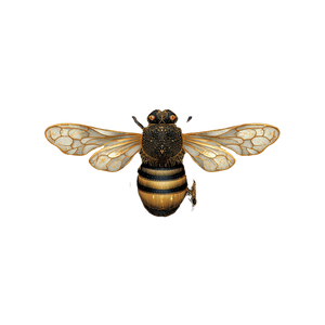 Royal Bee Hive Vinyl Car Decal Sticker – Waterproof & UV-Resistant 6.826666666666667"