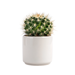 Cactus In Pot V2 Vinyl Car Decal Sticker – Waterproof & UV-Resistant 3.4133333333333336"