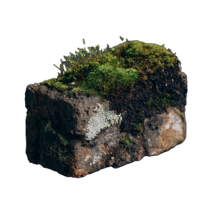 Mossy Dirt Protrusion Vinyl Car Decal Sticker – Waterproof & UV-Resistant 3.4133333333333336"