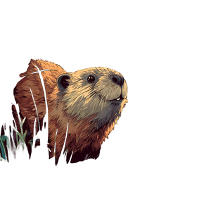 Comic Beaver Vinyl Car Decal Sticker – Waterproof & UV-Resistant 3.4133333333333336" Comic Beaver Vinyl Car Decal Sticker – Waterproof & UV-Resistant 3.4133333333333336"