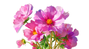 Pink Cosmos Flower V4 Vinyl Car Decal Sticker – Waterproof & UV-Resistant 5.4
