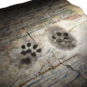 Cat Paw Fingerprint Vinyl Car Decal Sticker – Waterproof & UV-Resistant 3.4133333333333336"