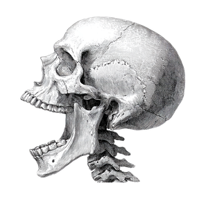 Screaming Skull Profile V4 Vinyl Car Decal Sticker – Waterproof & UV-Resistant 3.4133333333333336"