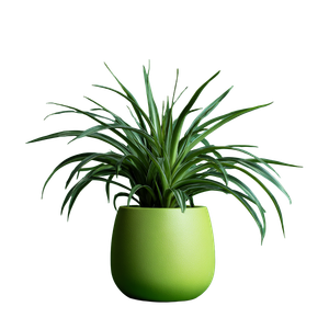 Green House Plant Vinyl Car Decal Sticker – Waterproof & UV-Resistant 6.826666666666667"