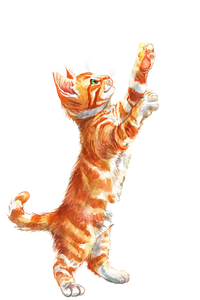 Playful Ginger Kitten V6 Vinyl Car Decal Sticker – Waterproof & UV-Resistant 8.96"