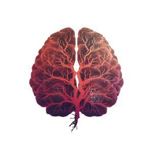 Brain Silhouette Illustration Vinyl Car Decal Sticker – Waterproof & UV-Resistant 6.826666666666667"