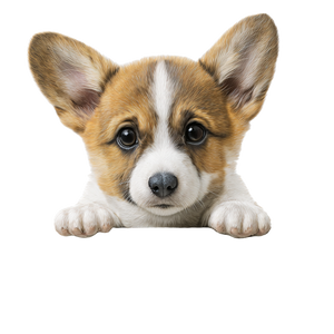 Welcoming Corgi Sign Vinyl Car Decal Sticker – Waterproof & UV-Resistant 3.4133333333333336"