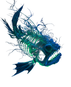 Glowing Frogfish Skeleton Vinyl Car Decal Sticker – Waterproof & UV-Resistant 8.0"