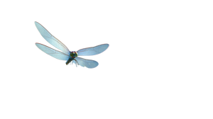 Dragonfly On Rice Vinyl Car Decal Sticker – Waterproof & UV-Resistant 5.4