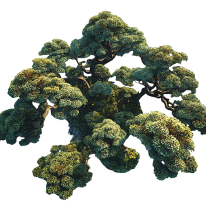 Chinese Bonsai Cluster Vinyl Car Decal Sticker – Waterproof & UV-Resistant 3.4133333333333336"