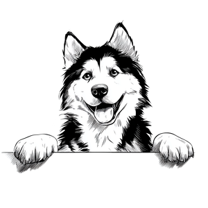 Happy Husky Dog V3 Vinyl Car Decal Sticker – Waterproof & UV-Resistant 3.4133333333333336"