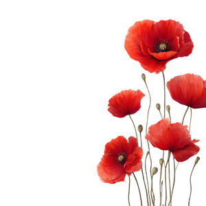 Falling Poppies Vinyl Car Decal Sticker – Waterproof & UV-Resistant 3.4133333333333336"