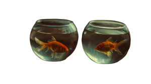Goldfish In Bowls Vinyl Car Decal Sticker – Waterproof & UV-Resistant 2.72"