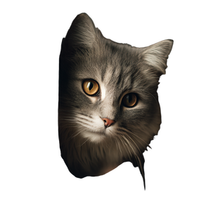 Fluffy Gray Cat V11 Vinyl Car Decal Sticker – Waterproof & UV-Resistant 6.826666666666667"