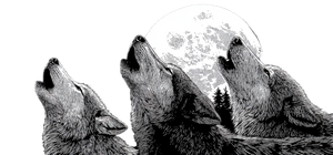 Howling Wolves Moon Vinyl Car Decal Sticker – Waterproof & UV-Resistant 2.506666666666667"