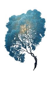 Astral Elden Tree Vinyl Car Decal Sticker – Waterproof & UV-Resistant 4.8533333333333335"