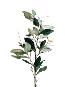 Subtle Sage Branch Vinyl Car Decal Sticker – Waterproof & UV-Resistant 4.1066666666666665"